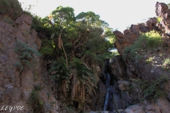 Tansania-190202-14-34-30