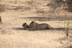 2019-09-Tansania-OK-0237