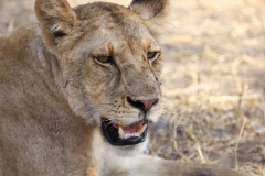 2019-09-Tansania-OK-0240