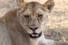 2019-09-Tansania-OK-0241