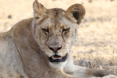 2019-09-Tansania-OK-0248