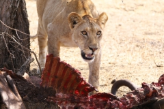 2019-09-Tansania-OK-0270