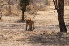 2019-09-Tansania-OK-0278