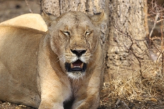 2019-09-Tansania-OK-0297
