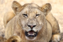 2019-09-Tansania-OK-0304