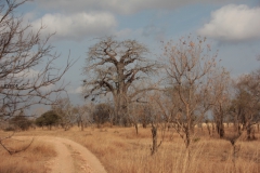 2019-09-Tansania-OK-0191
