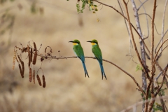 2019-09-Tansania-OK-0193