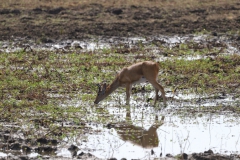 2019-09-Tansania-OK-0198