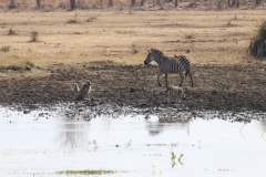 2019-09-Tansania-OK-0200