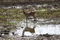 2019-09-Tansania-OK-0202