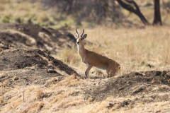 2019-09-Tansania-OK-0212
