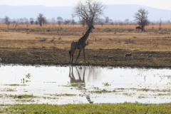 2019-09-Tansania-OK-0216