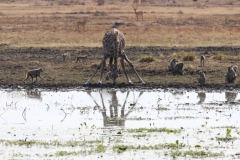 2019-09-Tansania-OK-0219