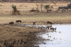 2019-09-Tansania-OK-0364