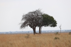 2019-09-Tansania-OK-0436