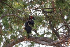 2019-09-Tansania-OK-0439