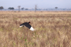 2019-09-Tansania-OK-0449