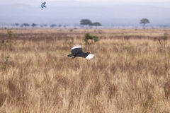 2019-09-Tansania-OK-0454