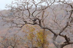 2019-09-Tansania-OK-0499