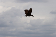 2019-09-Tansania-OK-0513