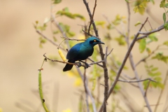 2019-09-Tansania-OK-0517