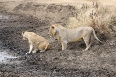 2019-09-Tansania-OK-0542