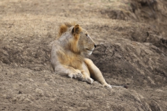 2019-09-Tansania-OK-0546