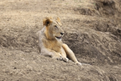 2019-09-Tansania-OK-0547
