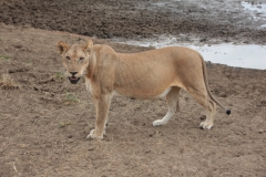 2019-09-Tansania-OK-0561
