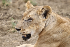 2019-09-Tansania-OK-0565