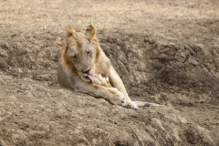 2019-09-Tansania-OK-0569