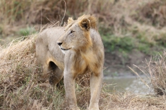 2019-09-Tansania-OK-0593