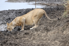 2019-09-Tansania-OK-0605