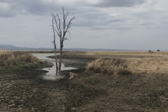 2019-09-Tansania-OK-0614