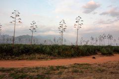 2019-09-Tansania-OK-0017
