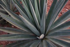 2019-09-Tansania-OK-0023