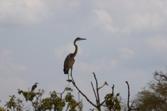 2019-09-Tansania-OK-0058