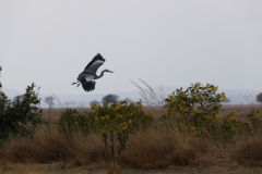 2019-09-Tansania-OK-0071
