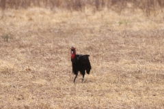 2019-09-Tansania-OK-0089