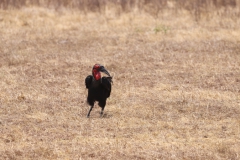 2019-09-Tansania-OK-0090