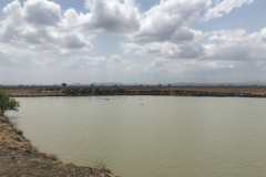 2019-09-Tansania-OK-0093