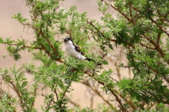 2019-09-Tansania-OK-0098