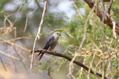 2019-09-Tansania-OK-0112