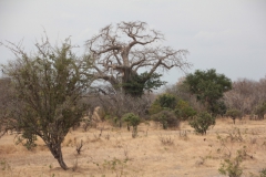 2019-09-Tansania-OK-0113