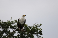 2019-09-Tansania-OK-0129