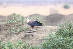 2019-09-Tansania-OK-0146
