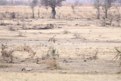 2019-09-Tansania-OK-0152