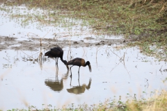 2019-09-Tansania-OK-0156
