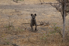 2019-09-Tansania-OK-1434