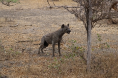 2019-09-Tansania-OK-1437